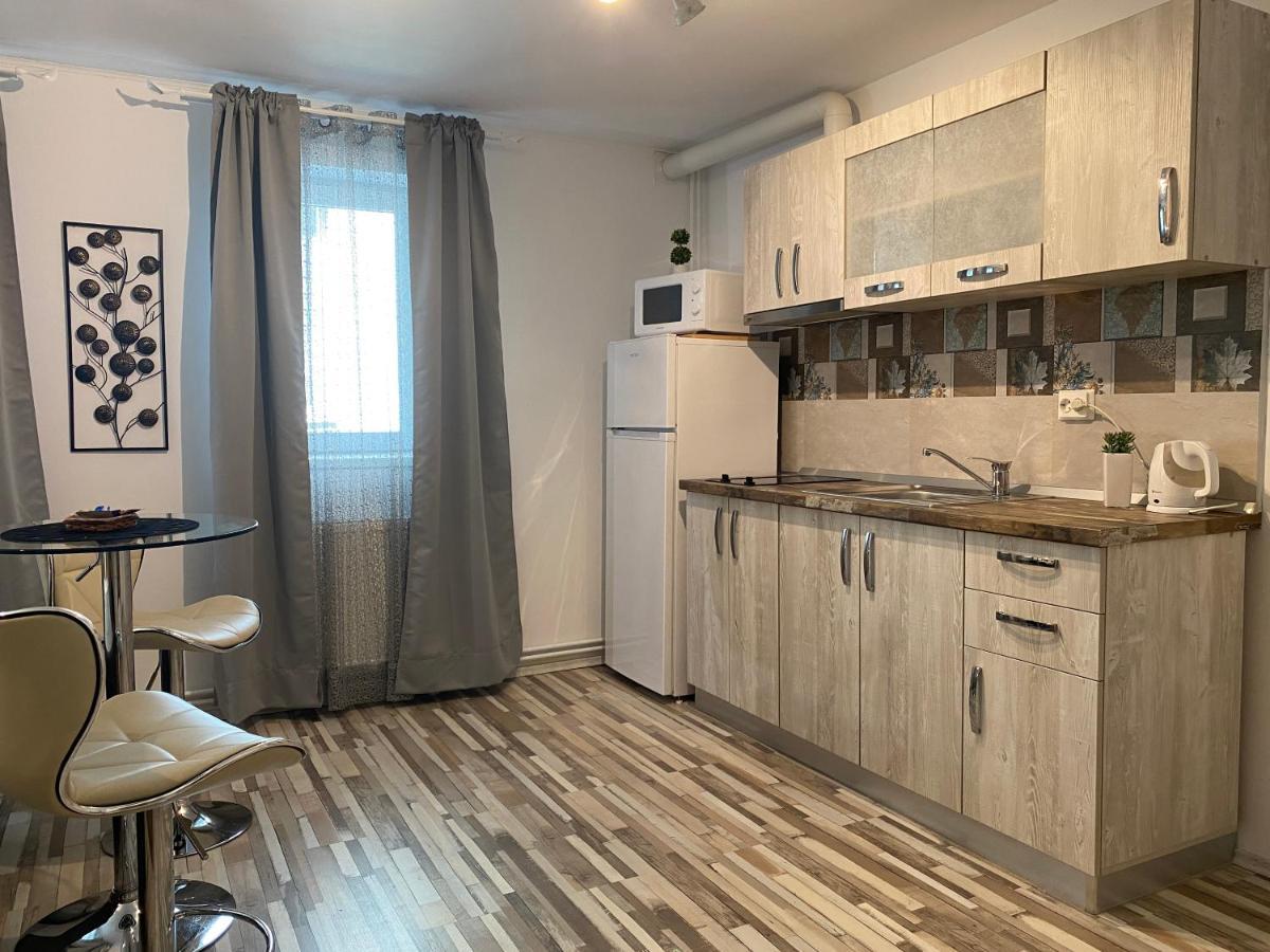 Urseni Studio Apartment Timişoara Exteriör bild