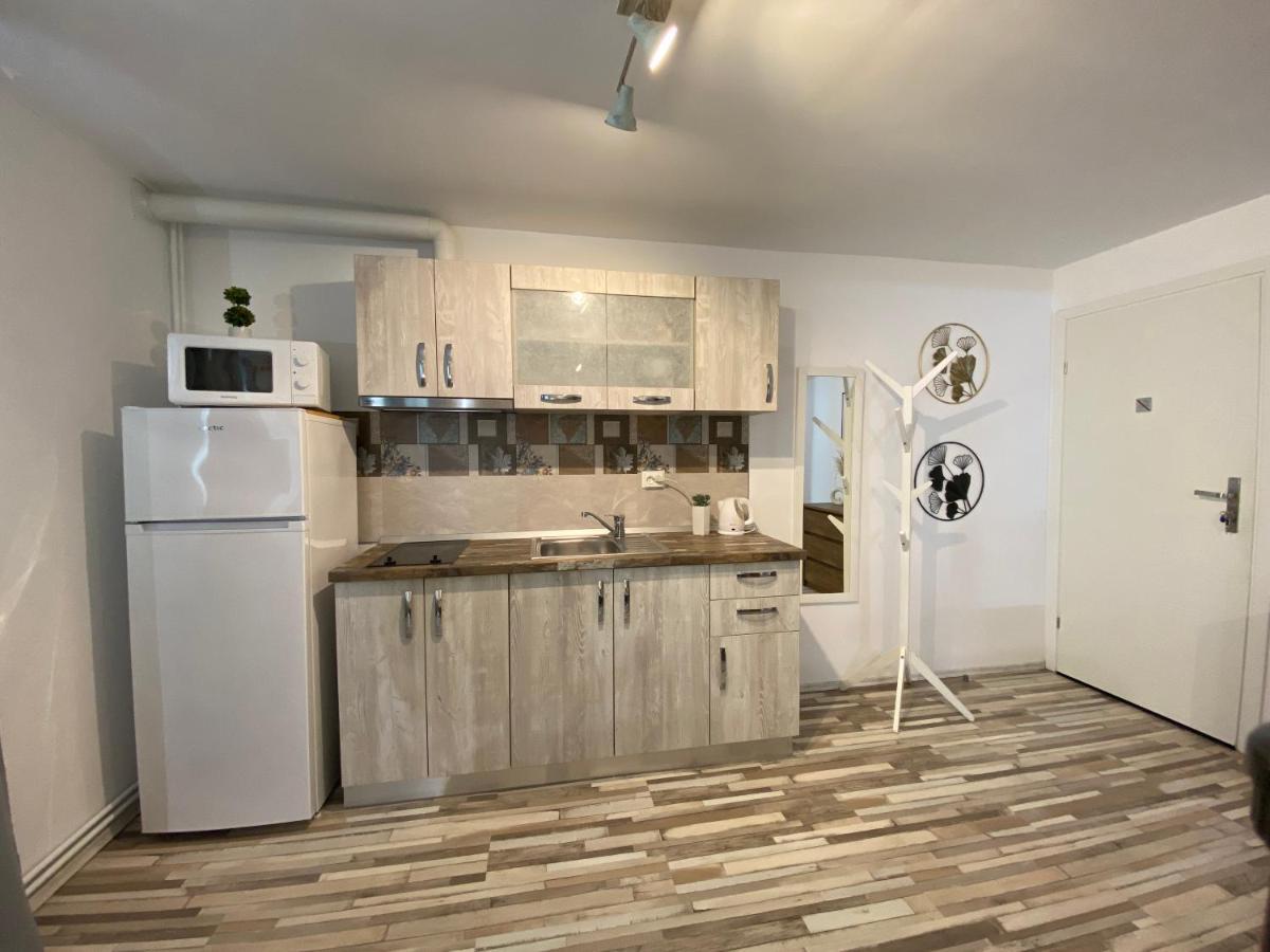 Urseni Studio Apartment Timişoara Exteriör bild