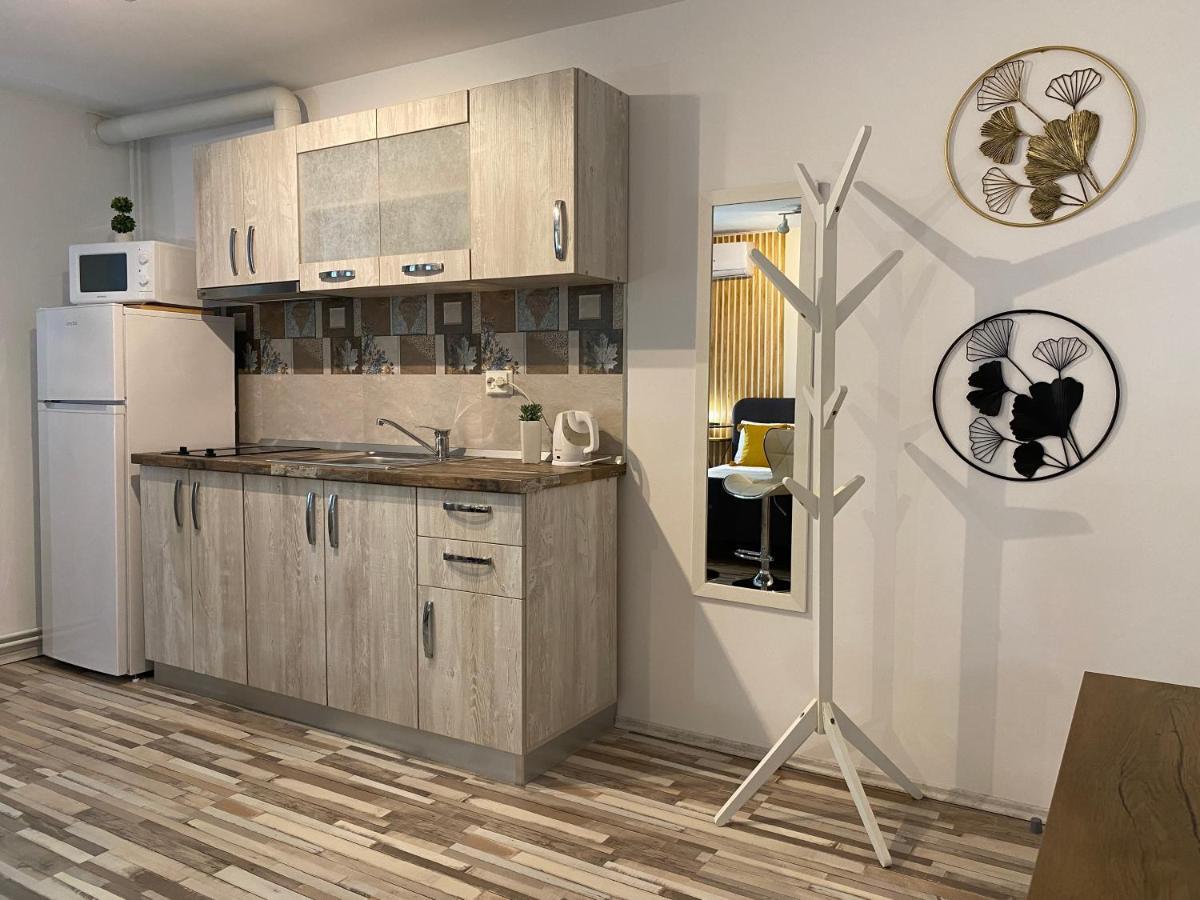 Urseni Studio Apartment Timişoara Exteriör bild